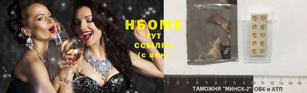 дмт Богородицк