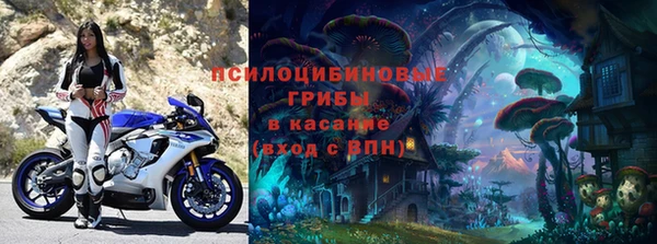 твердый Богданович