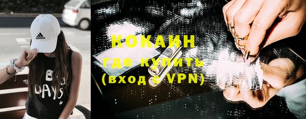 дмт Богородицк