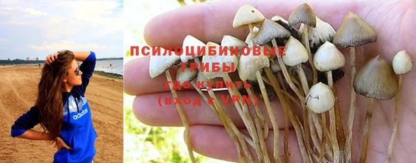 дмт Богородицк