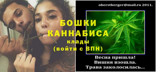 дмт Богородицк