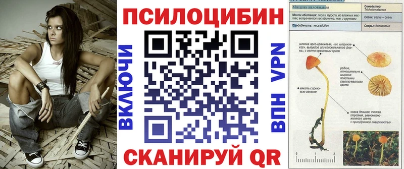 гидра ONION  Верхняя Тура  Псилоцибиновые грибы мухоморы 